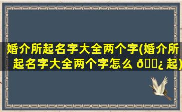 婚介所起名字大全两个字(婚介所起名字大全两个字怎么 🌿 起)